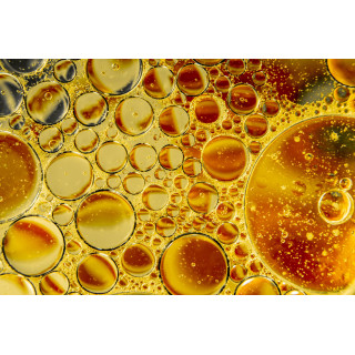 LIPOPHOS+ Plus | Phospholipide aus Bio Sonnenblumen Lecithin und Ringelblume