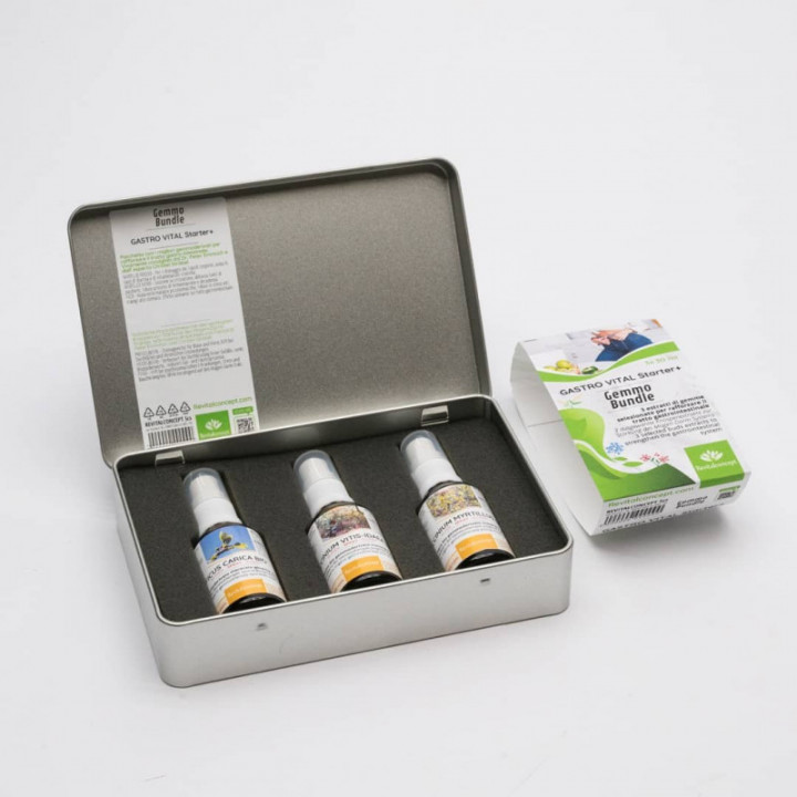 GASTRO VITAL Gemmo Bundle | Gemme selezionate con Zeolite per il tratto gastrointestinale con libri del Dr. Peter Emmrich