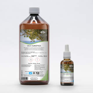 OLEA EUROPAEA