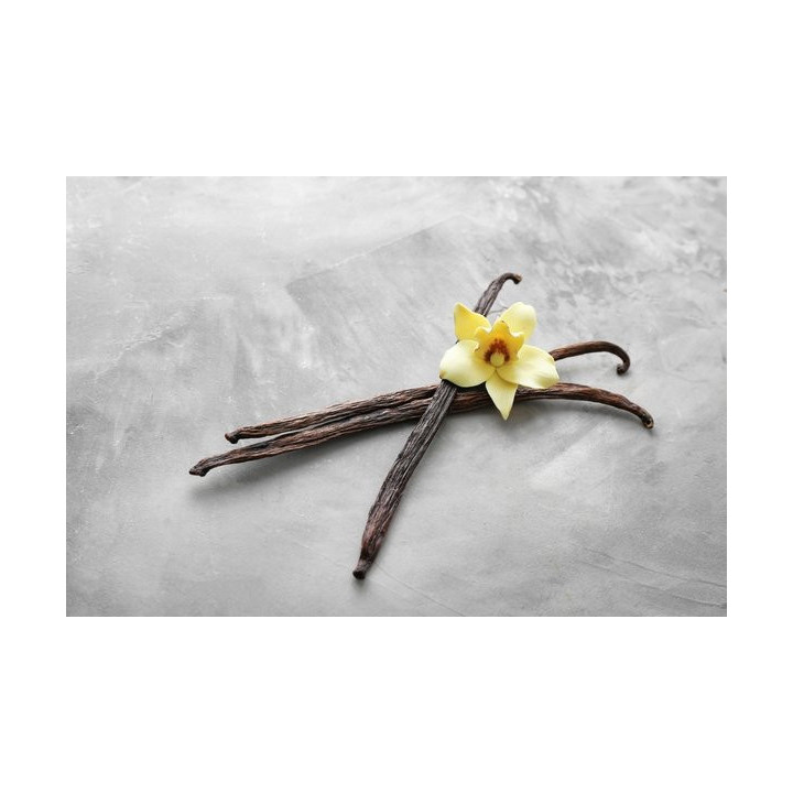 VANILLA PLANIFOLIA Tinktur | Echte Bourbon-Vanille ayurvedische offizinale Tinktur zur Phytotherapie Tropfen o. Spray