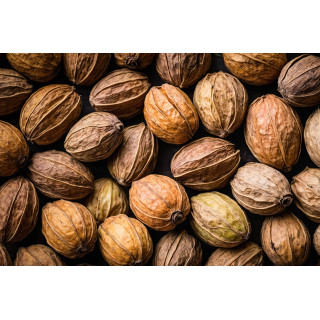TERMINALIA CHEBULA tintura | Haritaki Mirabolano Chebulico tintura officinale ayurvedica per fitoterapia gocce o spray
