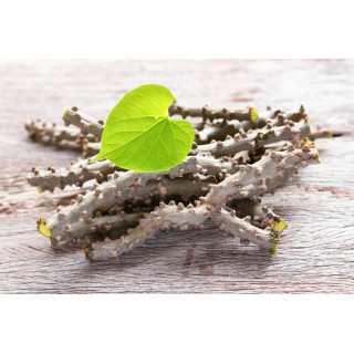 TINOSPORA CARDIFOLIA tintura | Giloy Guduchi tintura officinale ayurvedica adattogena per fitoterapia gocce o spray