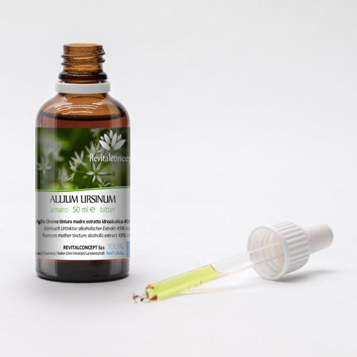 ALLIUM URSINUM tintura | Aglio Orsino tintura madre per fitoterapia gocce o spray