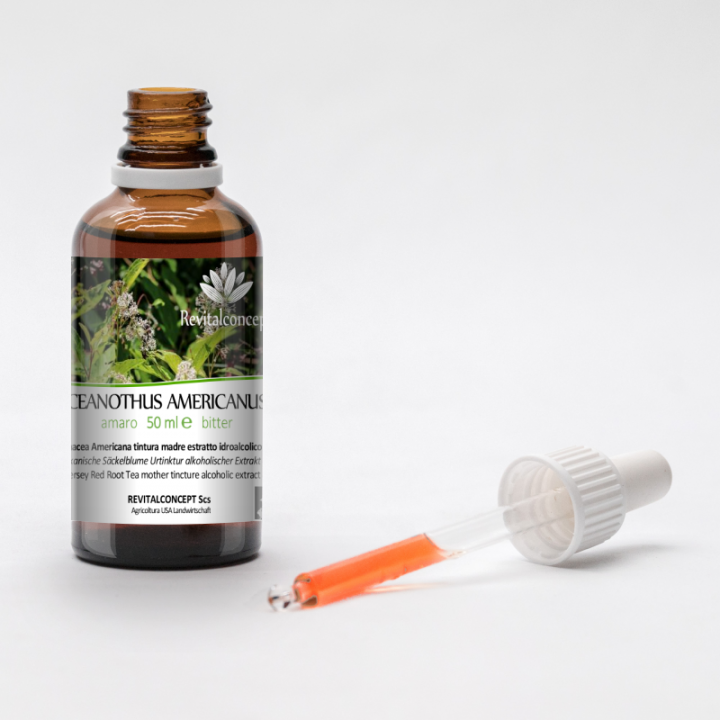 CEANOTHUS AMERICANUS tintura | Red Root Rhamnacea Americana tintura officinale per fitoterapia gocce o spray