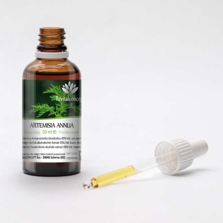 ARTEMISIA ANNUA tincture | Sweet Annie Annual Mugwort organic adaptogen novel-food tincture as natural medicine drops or spray