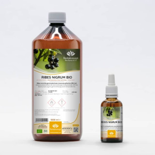 RIBES NIGRUM Gemmo | Schwarze Johannisbeere Bio ayurvedischer adaptogener Knospen-Extrakt zur Gemmotherapie Tropfen o. Spray