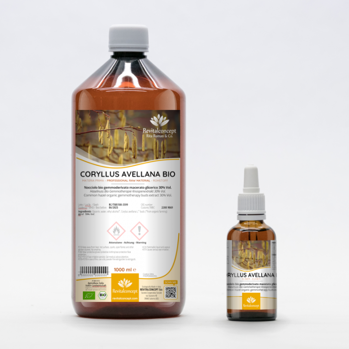 CORYLUS AVELLANA gemmo | Common Hazel organic buds extract as gemmotherapy drops or spray