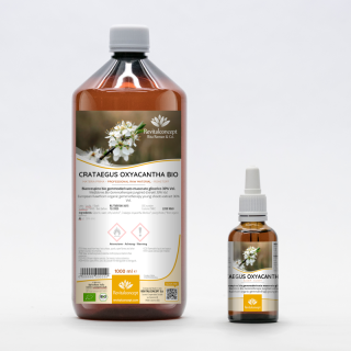 CRATAEGUS OXYACANTHA gemmo | European Hawthorn organic ayurvedic young shoots extract as gemmotherapy drops or spray