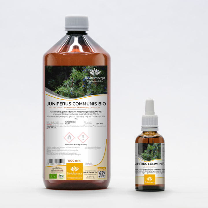 JUNIPERUS COMMUNIS gemmo | Common Juniper organic ayurvedic young shoots extract as gemmotherapy drops or spray