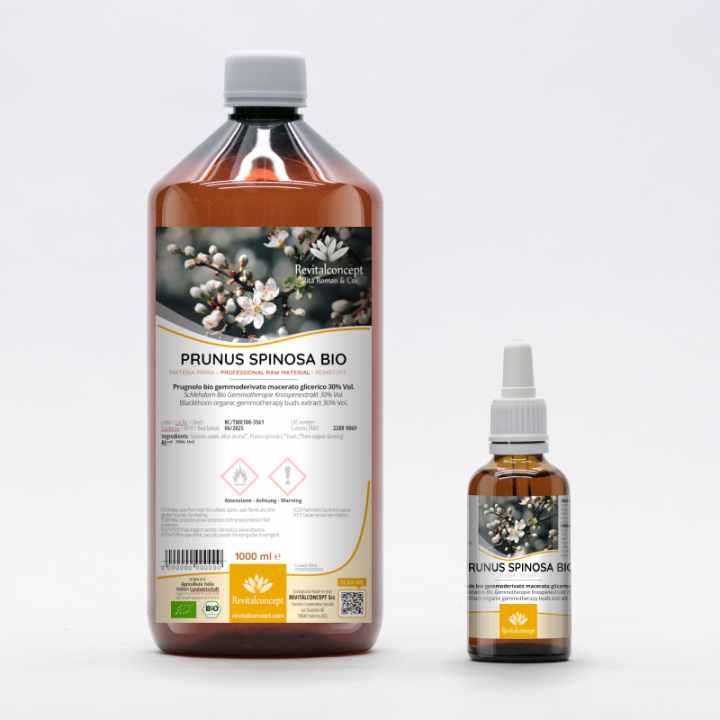 PRUNUS SPINOSA gemmo | Blackthorn organic buds extract as gemmotherapy drops or spray