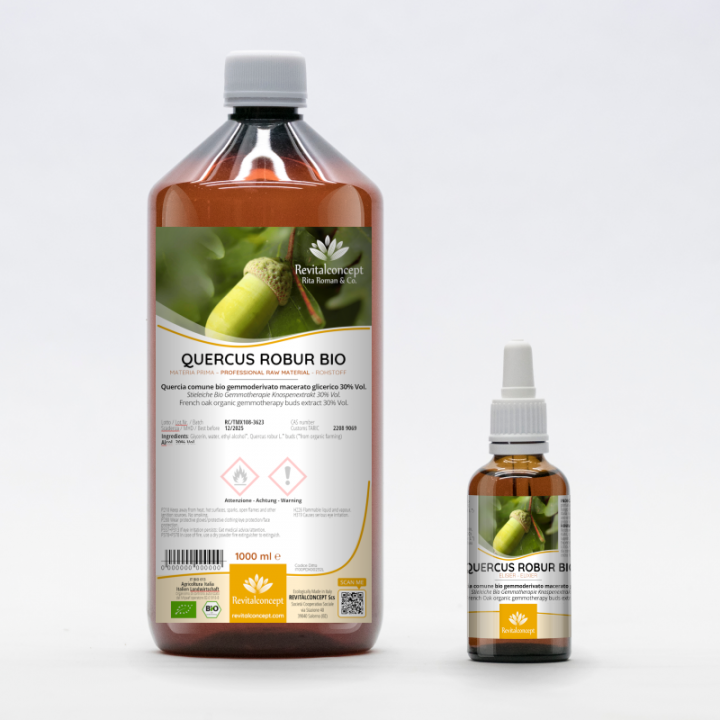 QUERCUS ROBUR gemmo | French Oak organic ayurvedic buds extract as gemmotherapy drops or spray