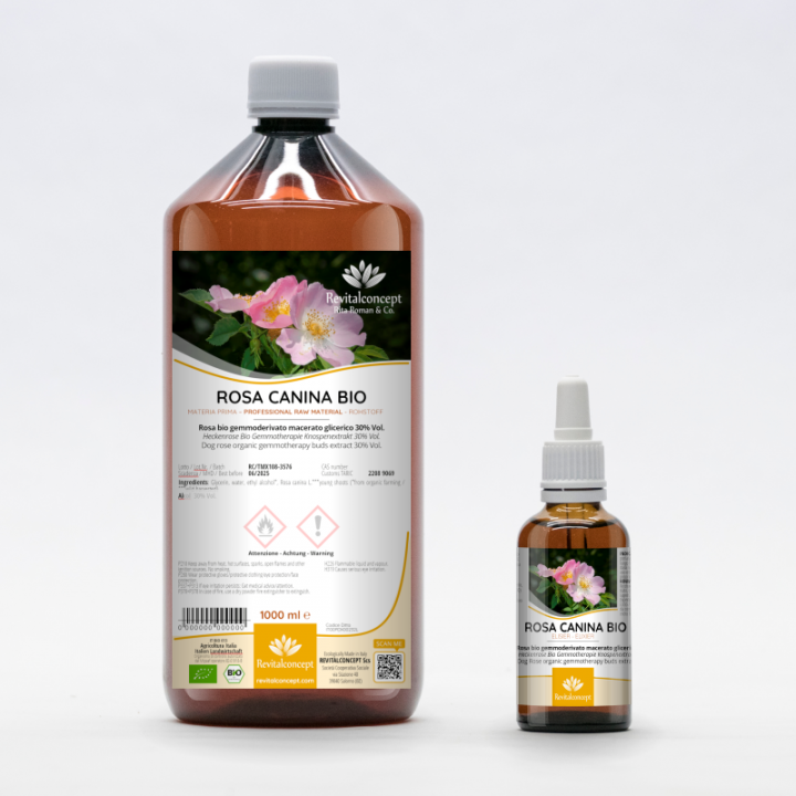 ROSA CANINA gemmo | Wild Dog Rose organic adaptogen buds extract as gemmotherapy drops or spray