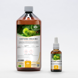 CASTANEA VESCA gemmo | Sweet Chestnut organic buds extract as gemmotherapy drops or spray