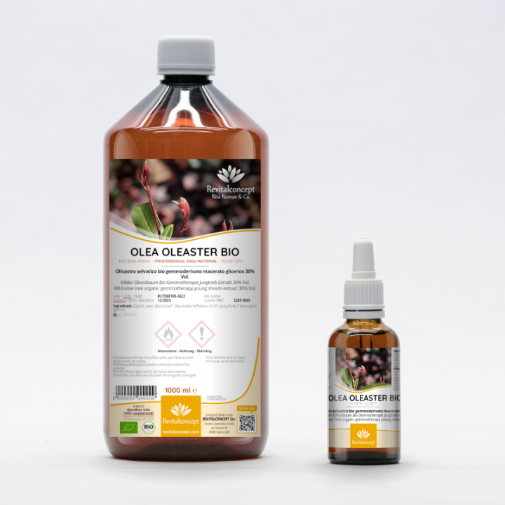OLEA OLEASTER gemmo | Wild Olive Tree organic young shoots extract as gemmotherapy drops or spray