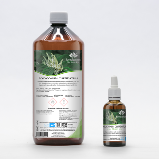 POLYGONUM CUSPIDATUM tintura | Poligono Giapponese bio tintura madre per fitoterapia gocce o spray