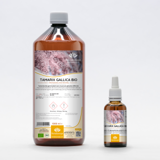 TAMARIX GALLICA gemmo | French Tamarisk organic young shoots extract as gemmotherapy drops or spray