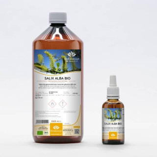 SALIX ALBA gemmo | White Willow organic buds extract as gemmotherapy drops or spray