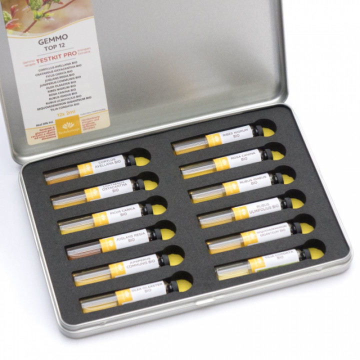 TESTKIT PRO Knospen und Gemmotherapie für die therapeutische kinesiologische Testung