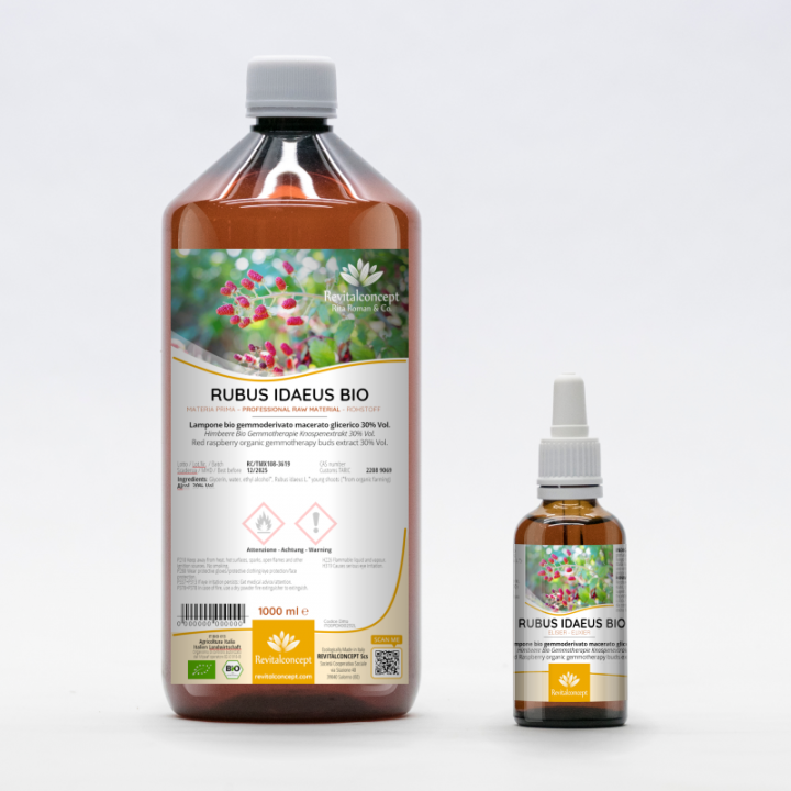 RUBUS IDAEUS gemmo | Red Raspberry organic buds extract as gemmotherapy drops or spray