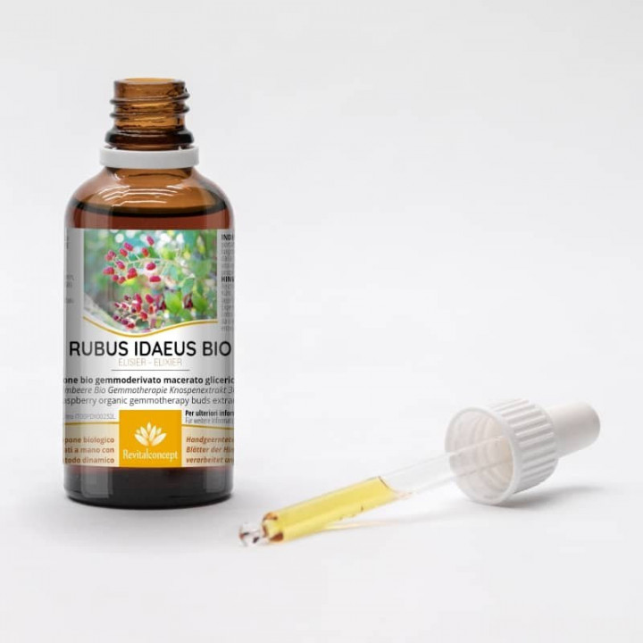 RUBUS IDAEUS gemmo | Red Raspberry organic buds extract as gemmotherapy drops or spray