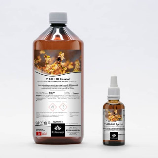 7 GEMMO Spezial con sette gemme primaverili di Rita speciali