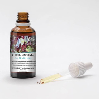 CORNUS SANGUINEA gemmo | Bloody Dogwood organic buds extract as gemmotherapy drops or spray