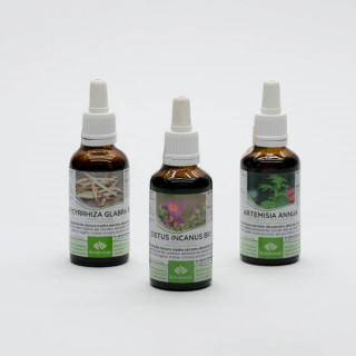 Bundle erbe bio con le nostre 3 migliori tinture: Cisto, Liquirizia, Artemisia