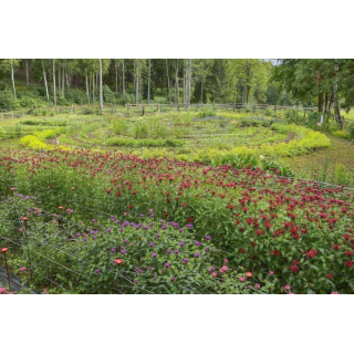 FREEMIX PRO | Individuelle Kräuter-Mischung für Therapeuten mit individuellem Etikett Tropfen o. Spray