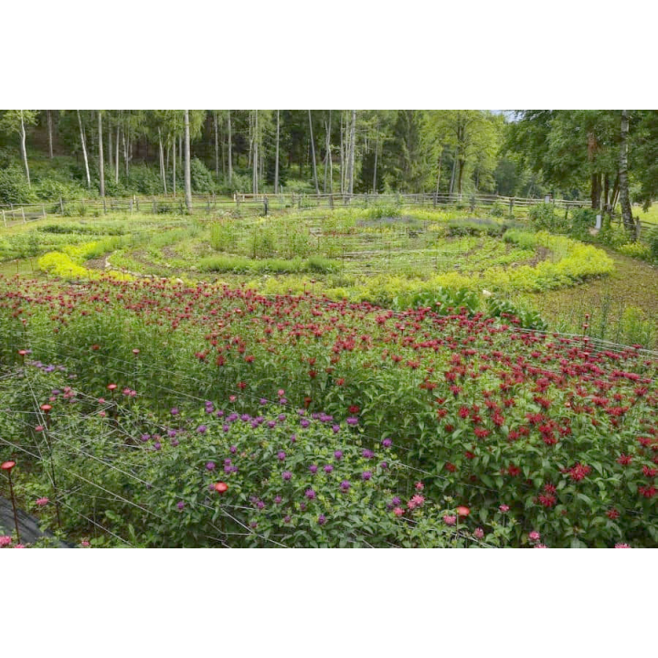 FREEMIX PRO | Individuelle Kräuter-Mischung für Therapeuten mit individuellem Etikett Tropfen o. Spray
