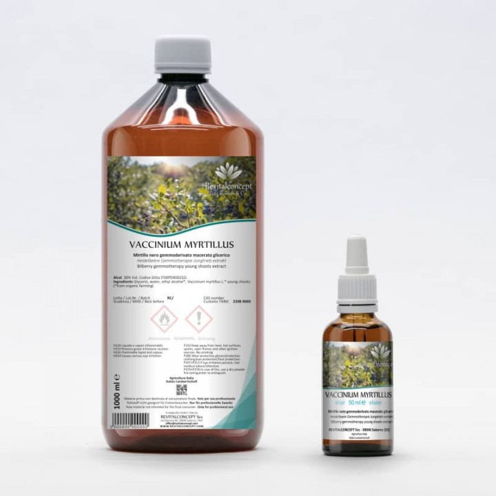 VACCINIUM MYRTILLUS gemmo | Bilberry organic young shoots extract as gemmotherapy drops or spray