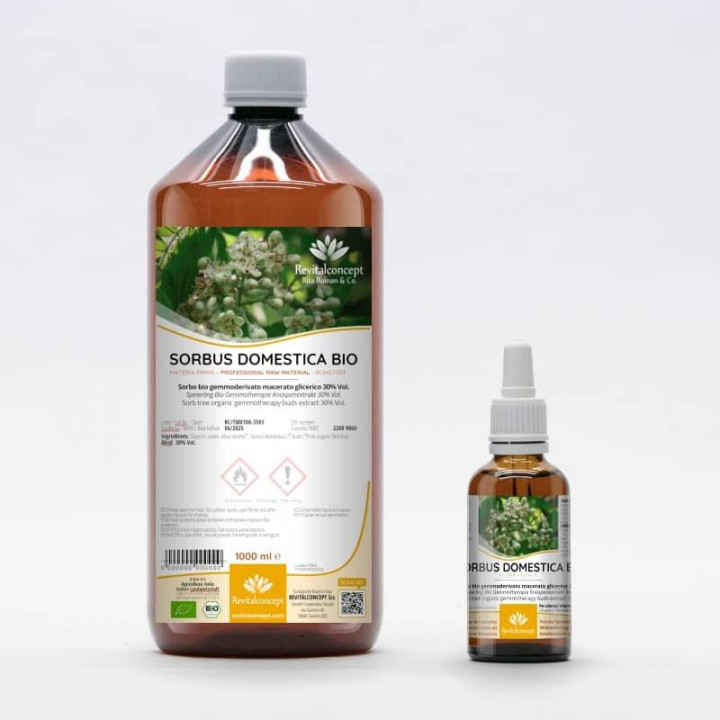 SORBUS DOMESTICA gemmo | Sorb Tree organic buds extract as gemmotherapy drops or spray