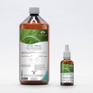 SECALE CEREALE gemmo | Rye organic sprouts extract as gemmotherapy drops or spray