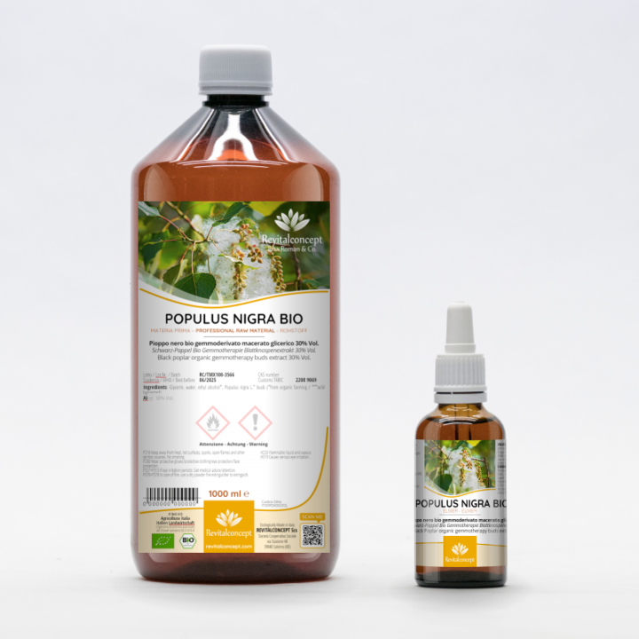 POPULUS NIGRA gemmo | Black Poplar organic buds extract as gemmotherapy drops or spray