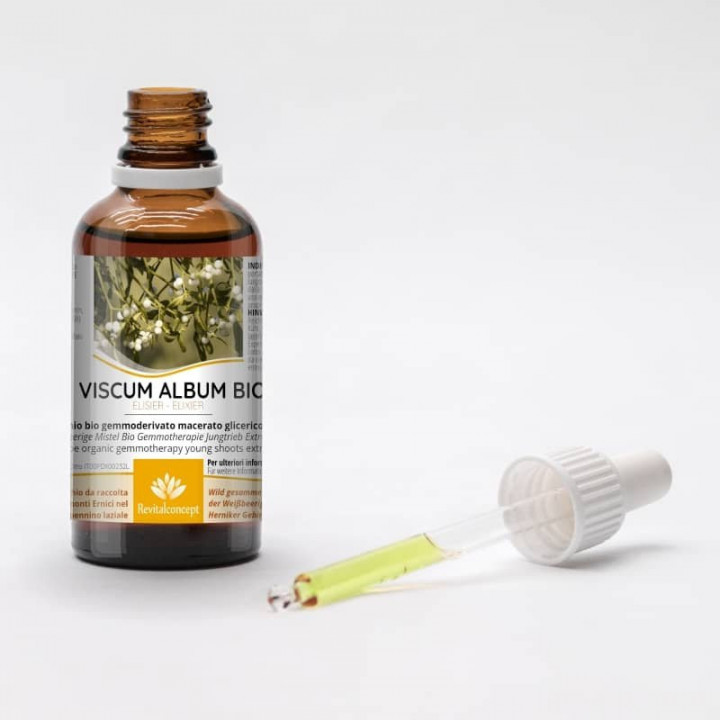 VISCUM ALBUM gemmo | Vischio bio gemmoderivato macerato glicerico ayurvedico per gemmoterapia gocce o spray