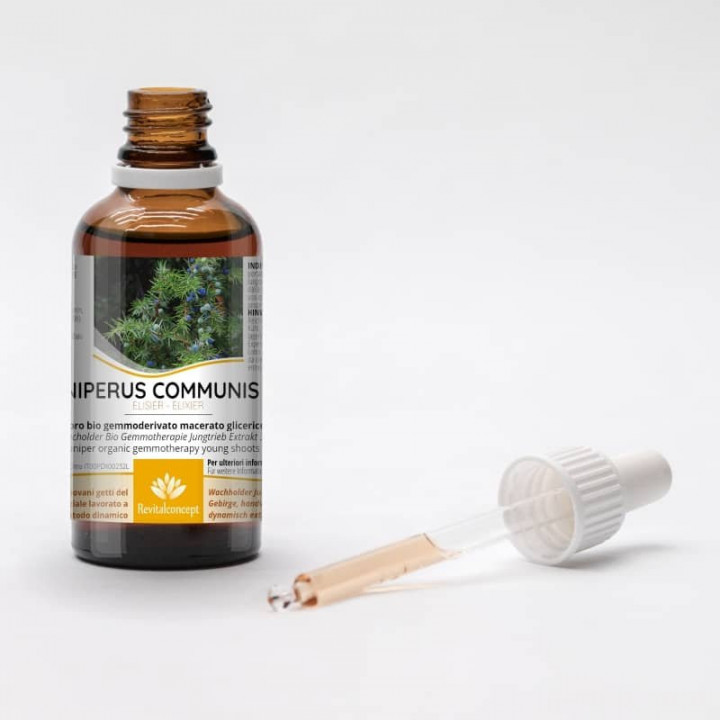 JUNIPERUS COMMUNIS gemmo | Common Juniper organic ayurvedic young shoots extract as gemmotherapy drops or spray