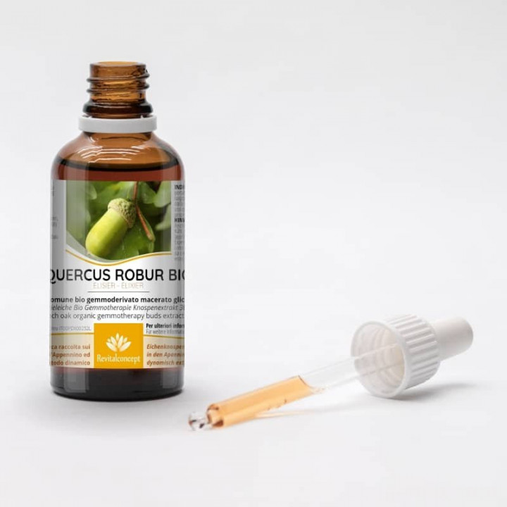 QUERCUS ROBUR gemmo | French Oak organic ayurvedic buds extract as gemmotherapy drops or spray