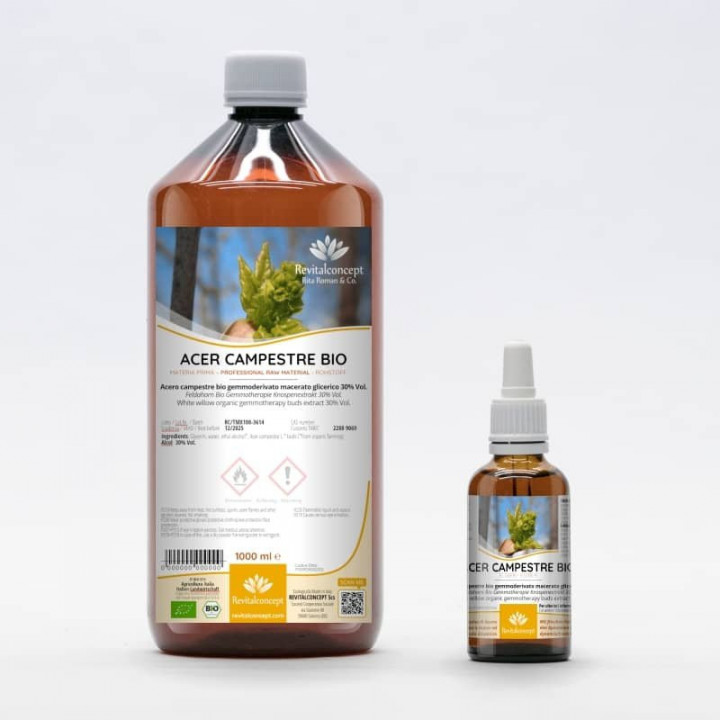 ACER CAMPESTRE gemmo | Field Maple organic buds extract as gemmotherapy drops or spray