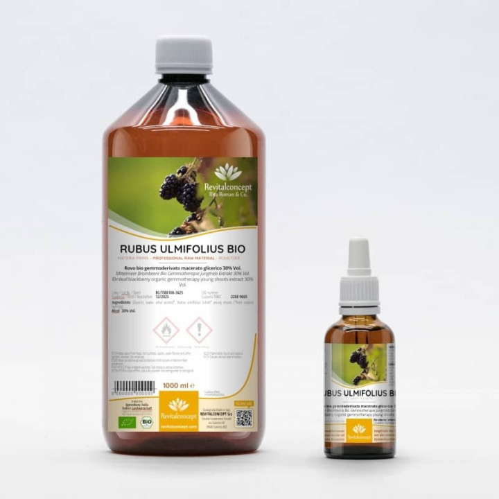 RUBUS FRUTICOSUS ULMIFOLIUS gemmo | Elmleaf Blackberry organic young shoots extract as gemmotherapy drops or spray