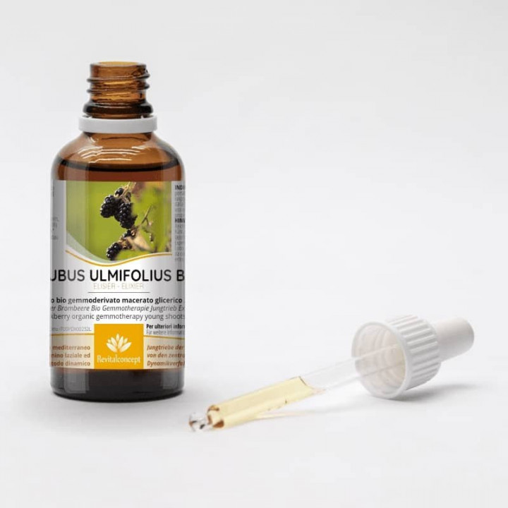 RUBUS FRUTICOSUS ULMIFOLIUS gemmo | Elmleaf Blackberry organic young shoots extract as gemmotherapy drops or spray